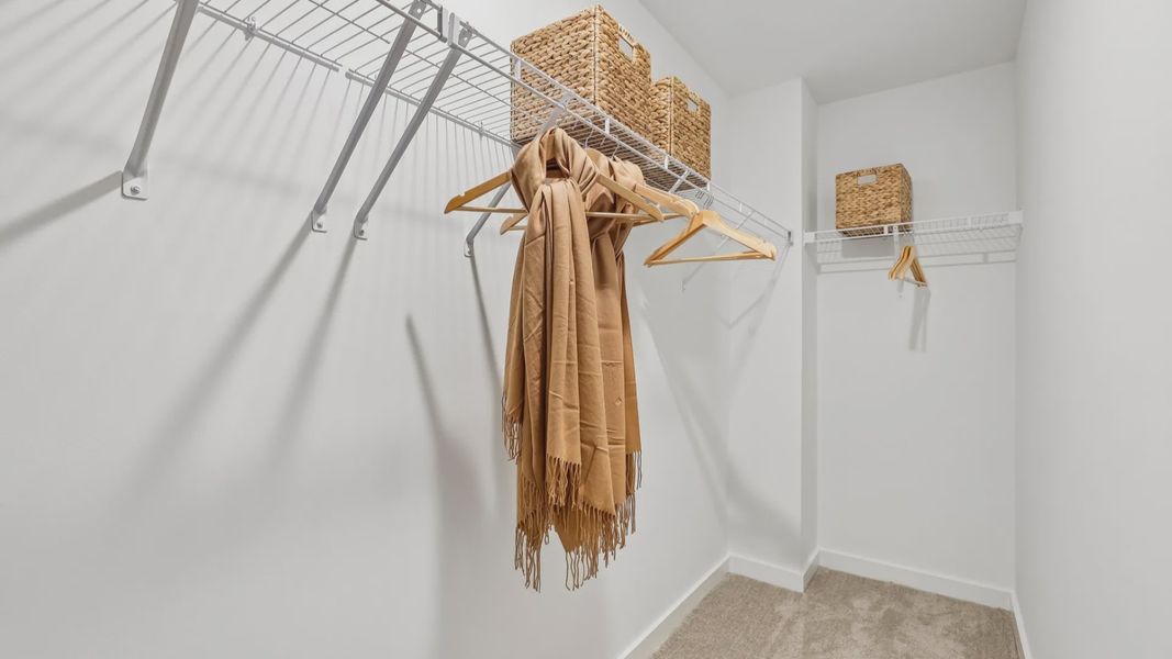 Closet with carpet and ventilated shelf