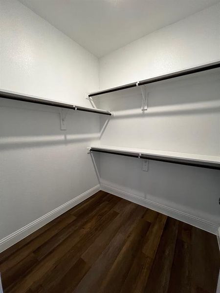 Spacious closet featuring dark wood-type flooring