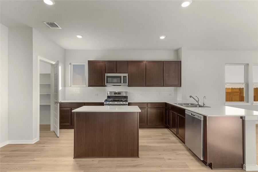 Kitchen featuring stainless steel appliances, a peninsula, light wood finished floors, dark wood finish cabinets, and backsplash