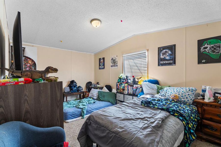 Bedroom featuring vaulted ceiling, carpet flooring, and a textured ceiling Bedroom featuring vaulted ceiling, carpet flooring, and a textured ceiling