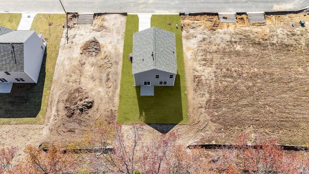 9-custom-DJI_20251106130018_0456_D_1