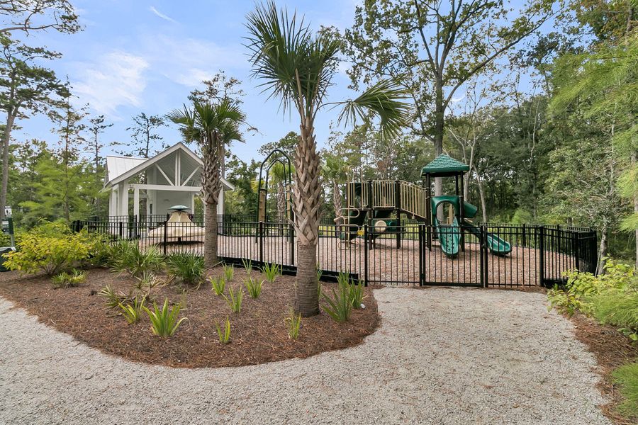 Community amenities in , Charleston (Image 41).