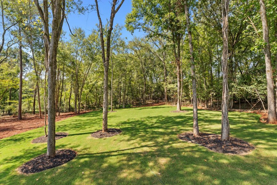 Natural landscape and outdoor views near Timberland Grove in Anderson (Image 57). Natural landscape and outdoor views near Timberland Grove in Anderson (Image 57).