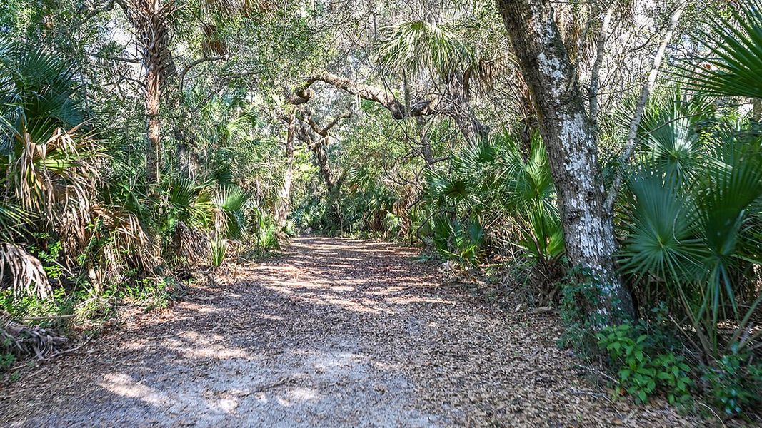 Natural landscape and outdoor views near Colbert Landings in Palm Coast (Image 82).