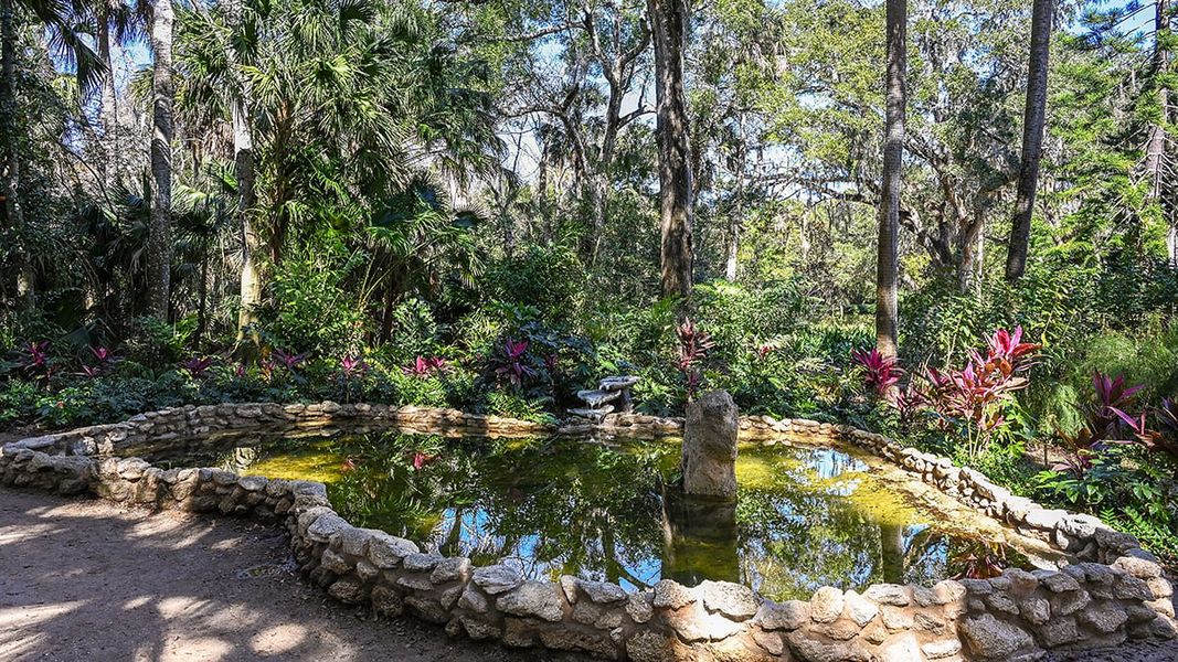 Natural landscape and outdoor views near Colbert Landings in Palm Coast (Image 95).