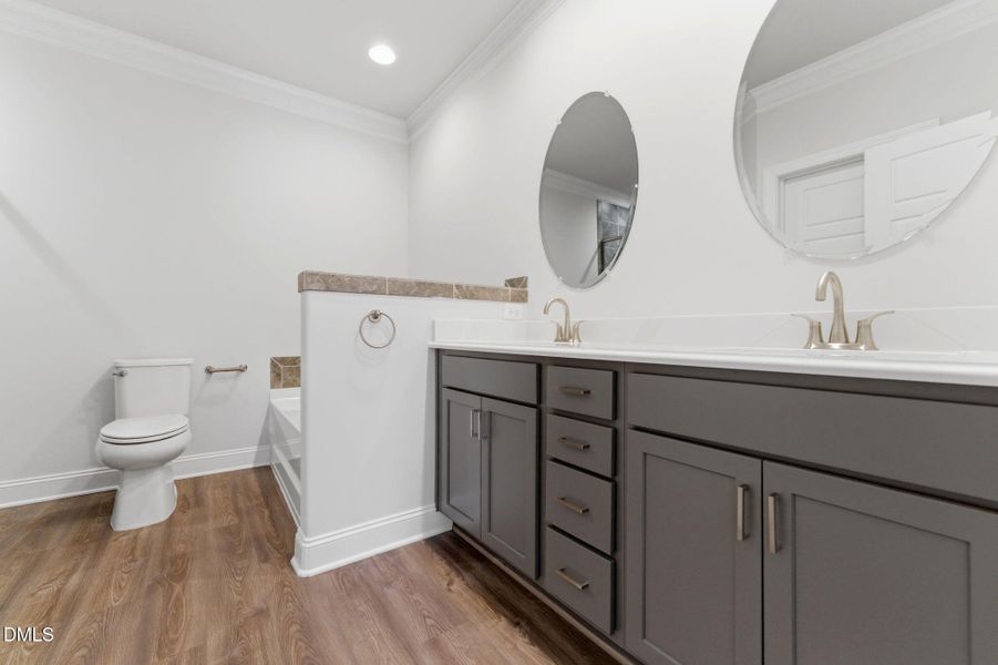 33-web-or-mls-DSC05752