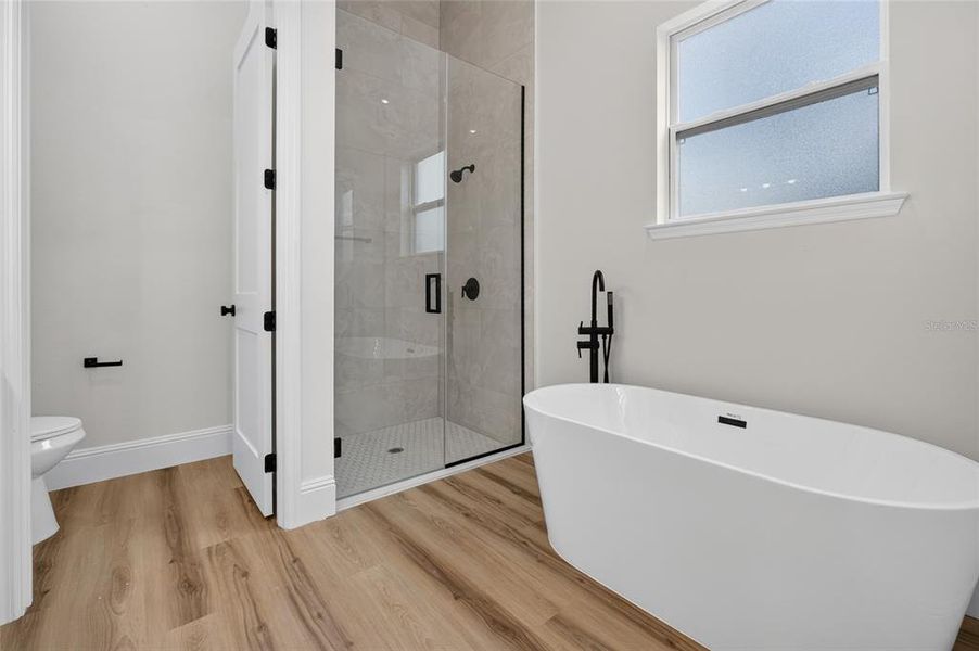 Furnished interior view inside a new home in , Port Charlotte (Image 13).