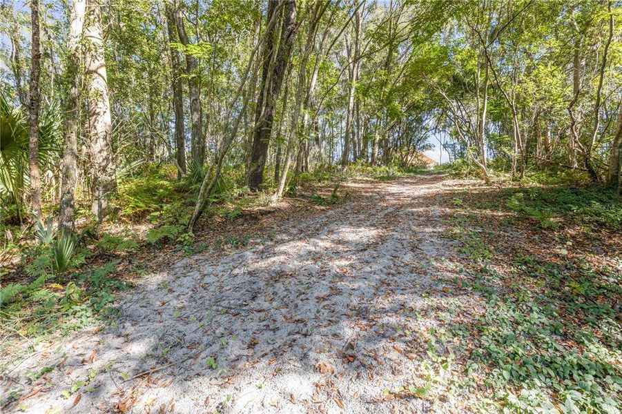 Natural landscape and outdoor views near in Deland (Image 45). Natural landscape and outdoor views near in Deland (Image 45).