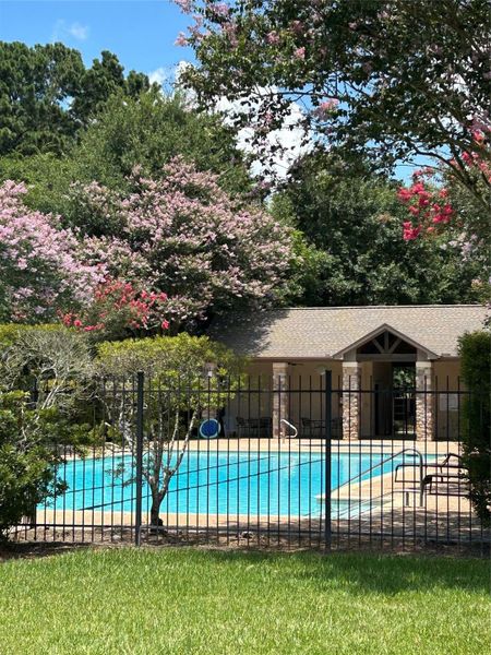 Community Pool