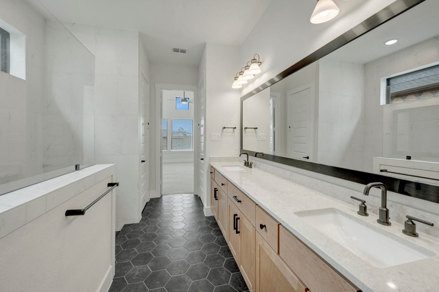 Owner's Bath