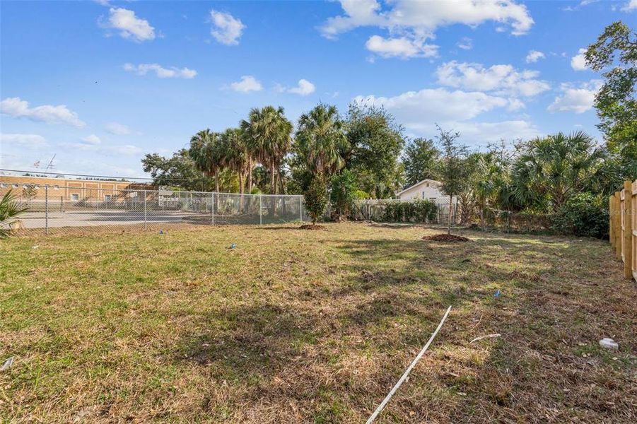 Natural landscape and outdoor views near  in Tampa (Image 86).