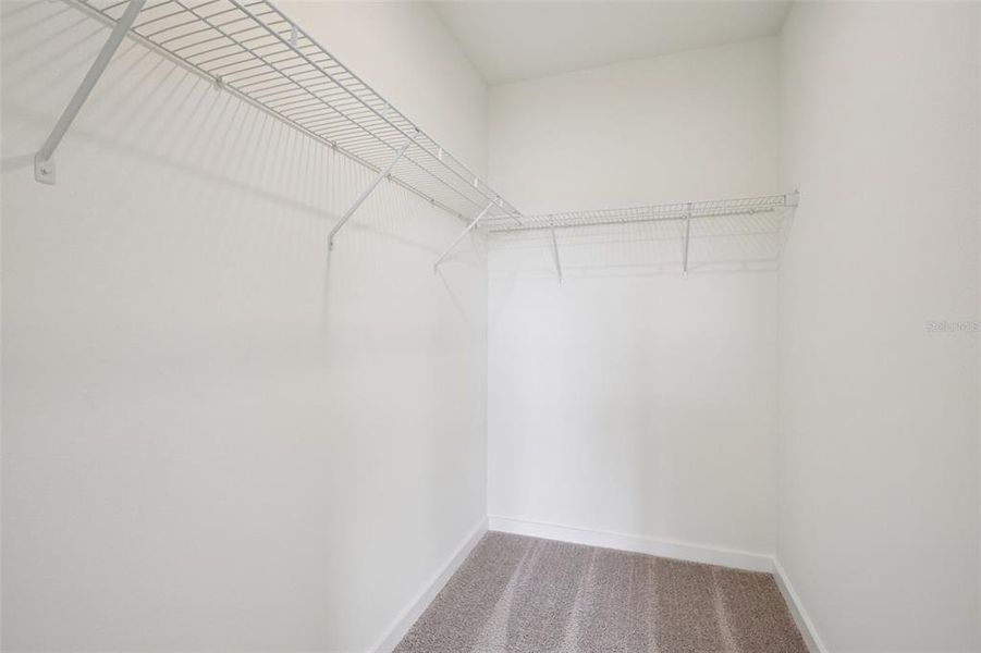 Spacious, unfurnished interior of a new home in Grasslands West, Lakeland (Image 13).