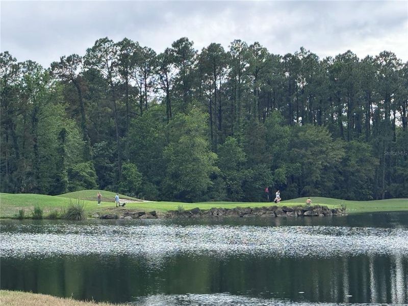 Natural landscape and outdoor views near  in Fernandina Beach (Image 54).