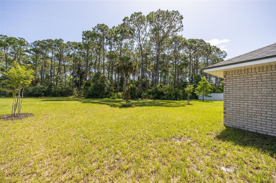 Exterior details and patio area of a home in Palm Coast, Palm Coast (Image 18).