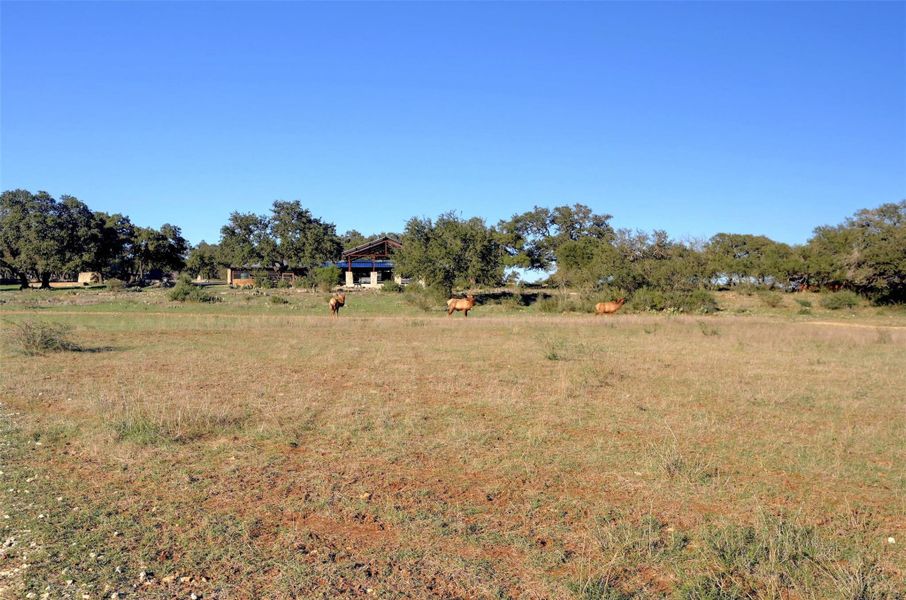 Natural landscape and outdoor views near  in Blanco (Image 24).