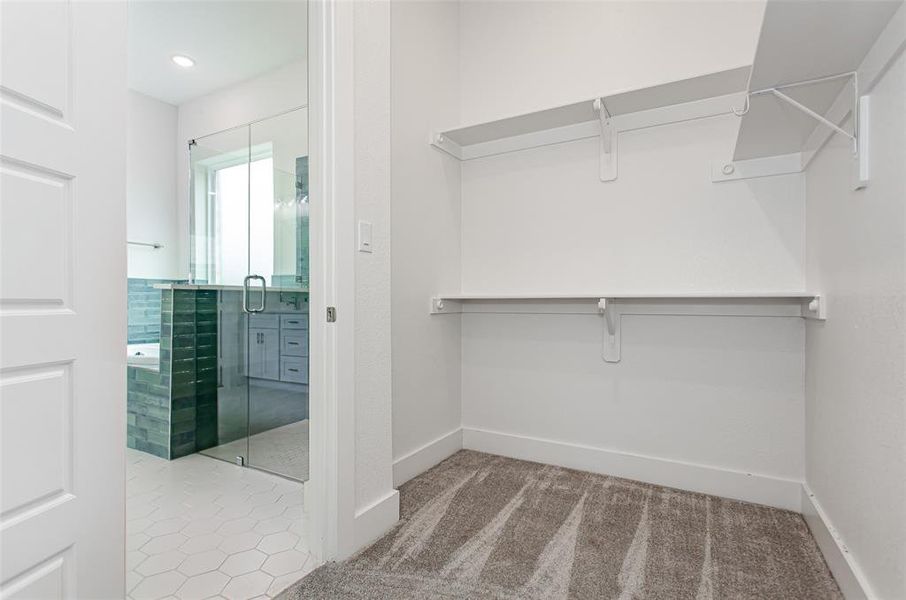 Walk in closet featuring carpet floors