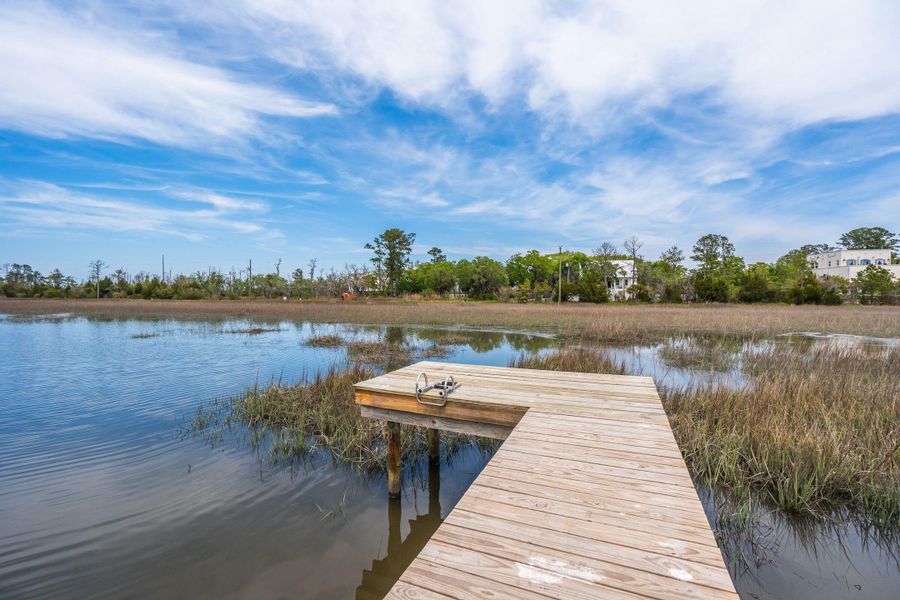 Natural landscape and outdoor views near  in Johns Island (Image 88).
