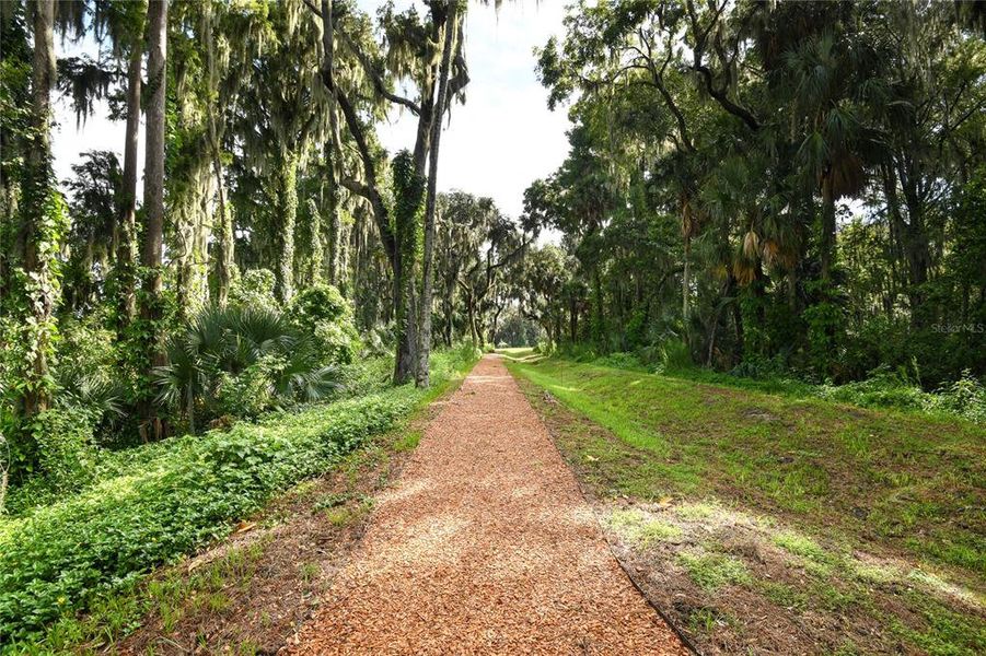 Natural landscape and outdoor views near Seasons at Lakeside Forest in Tavares (Image 18).