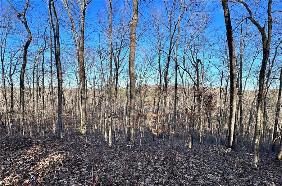 Natural landscape and outdoor views near  in Cumming (Image 15).