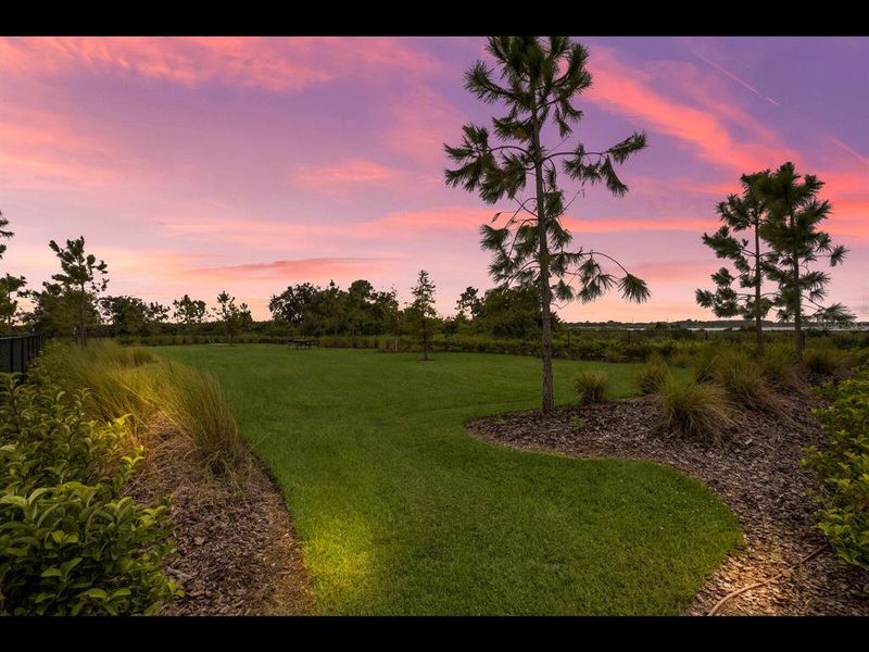 Natural landscape and outdoor views near  in Sarasota (Image 49).