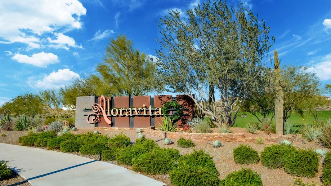 Community amenities associated with the Amherst by D.R. Horton in Aloravita, Peoria (Image 24).