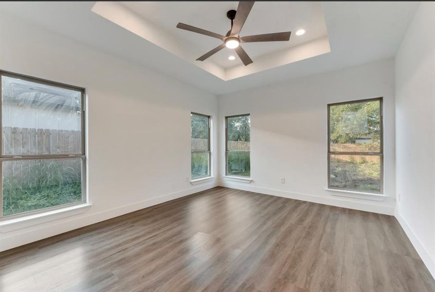 Empty room with a tray ceiling, wood-type flooring, ceiling fan, and a wealth of natural light