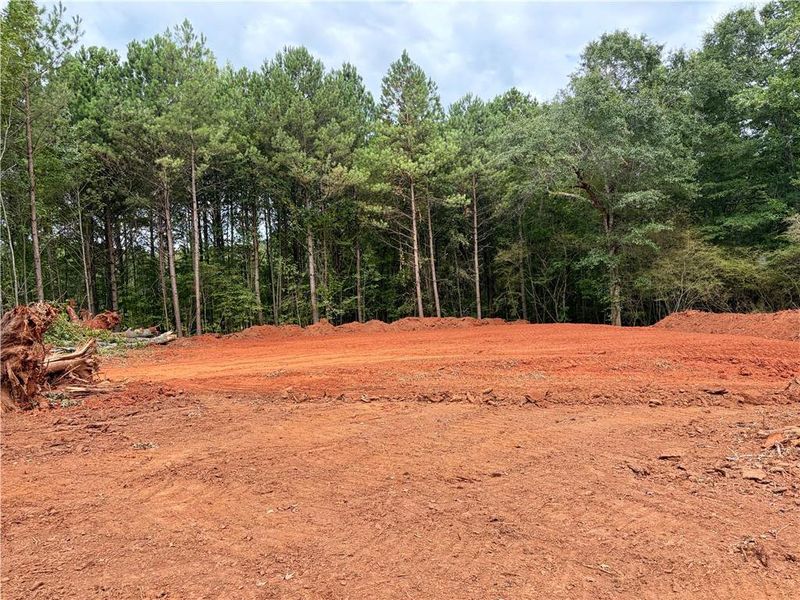 Site preparation for new homesites in , Williamson (Image 3).