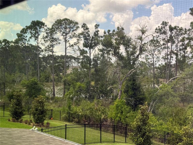 Natural landscape and outdoor views near  in Winter Garden (Image 58).