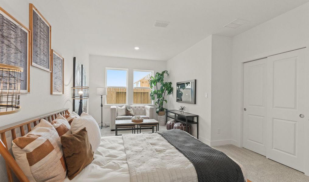 Extra Suite Extra Suite