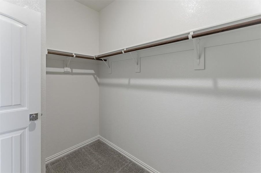 Walk-in closet featuring white walls, L-shaped hanging rods, and gray carpeting