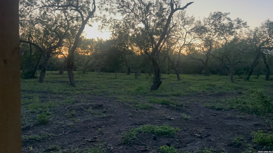 Natural landscape and outdoor views near  in Karnes City (Image 13).
