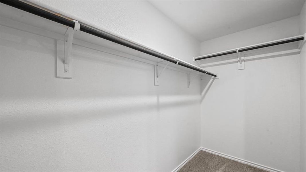 Walk in closet featuring dark colored carpet