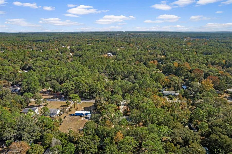 Natural landscape and outdoor views near in Homosassa (Image 43). Natural landscape and outdoor views near in Homosassa (Image 43).