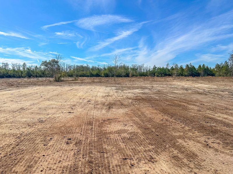 Site preparation for new homesites in Tibet Road at Sassafras, Allenhurst (Image 18).