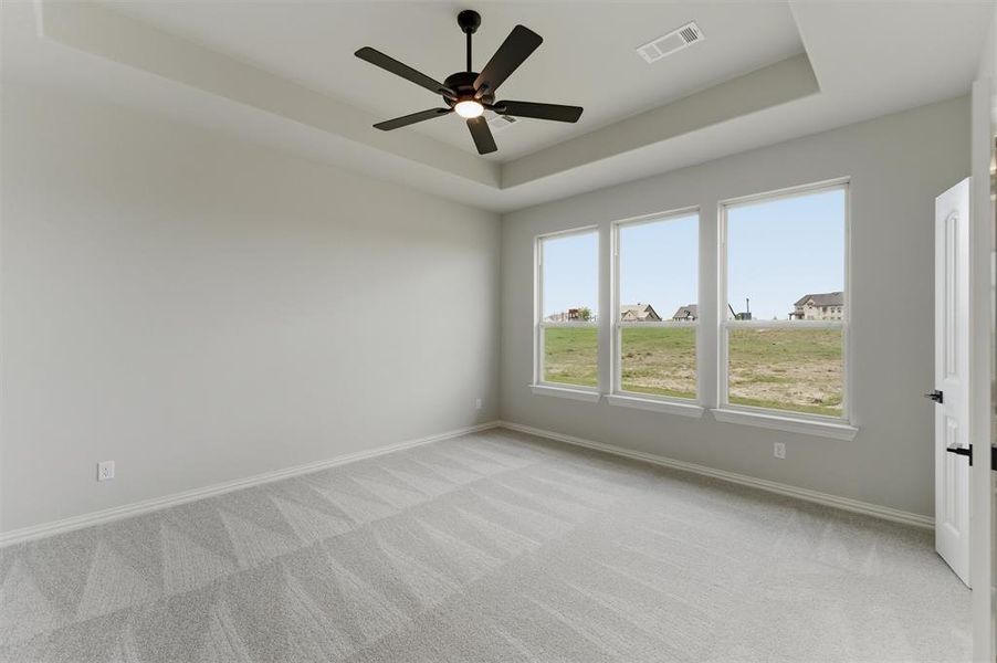Spare room featuring a raised ceiling, a ceiling fan, and light colored carpet