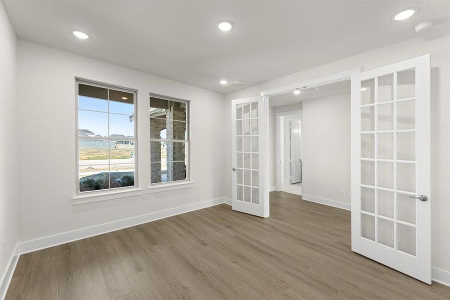 04. 7229 Switchgrass - Study