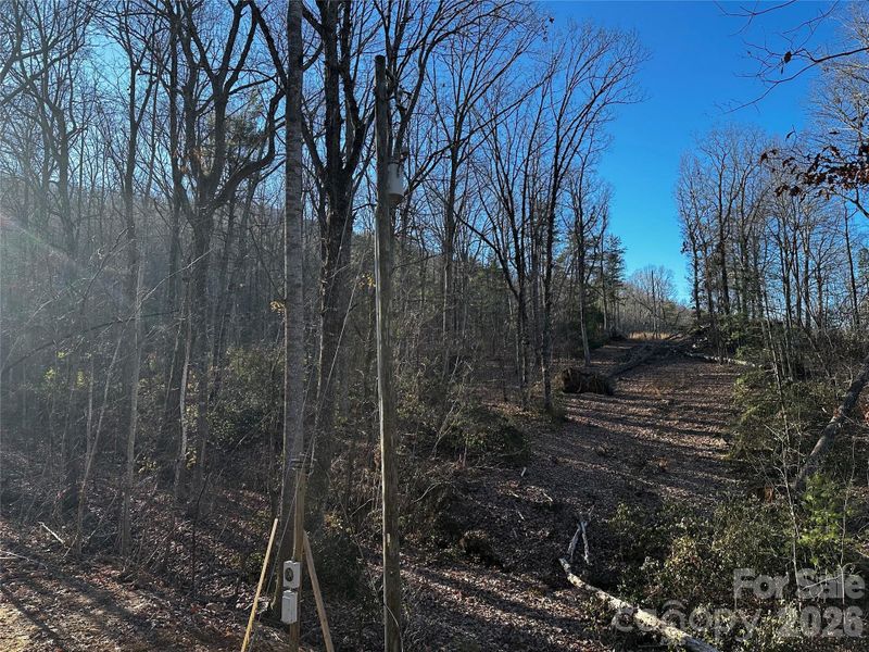 Land beside the Home