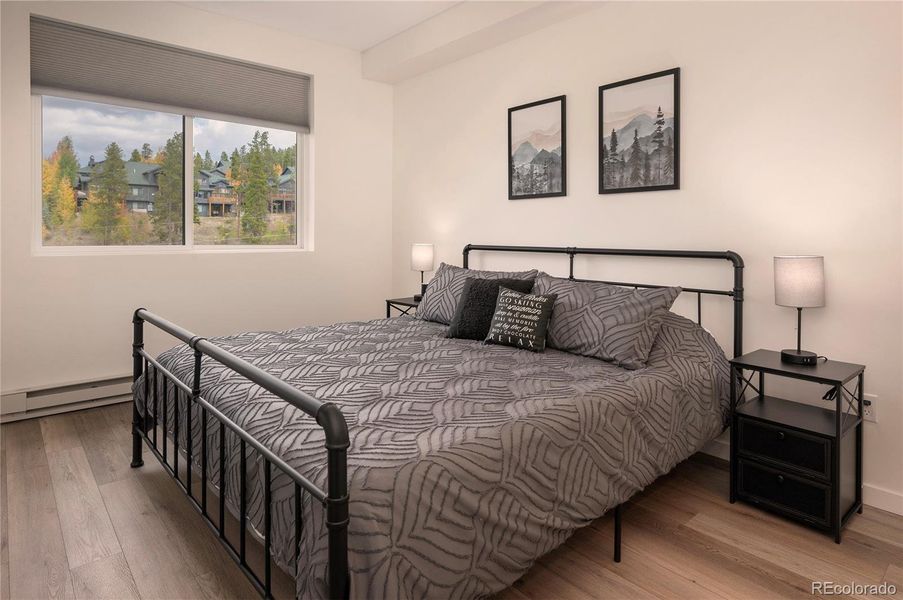 Large Primary Bedroom - King Bed