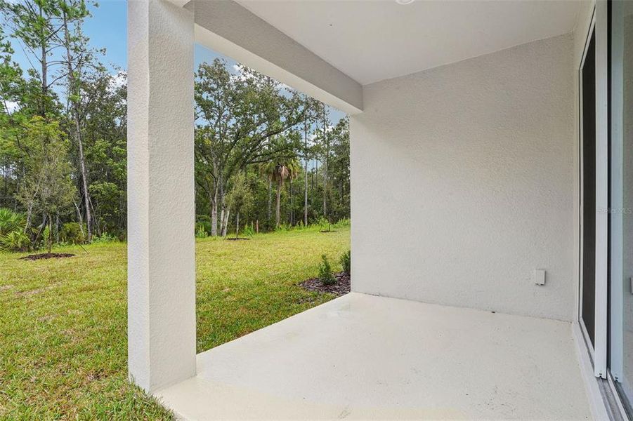 Exterior details and patio area of a home in Ridgehaven - Signature Series, Ormond Beach (Image 22).