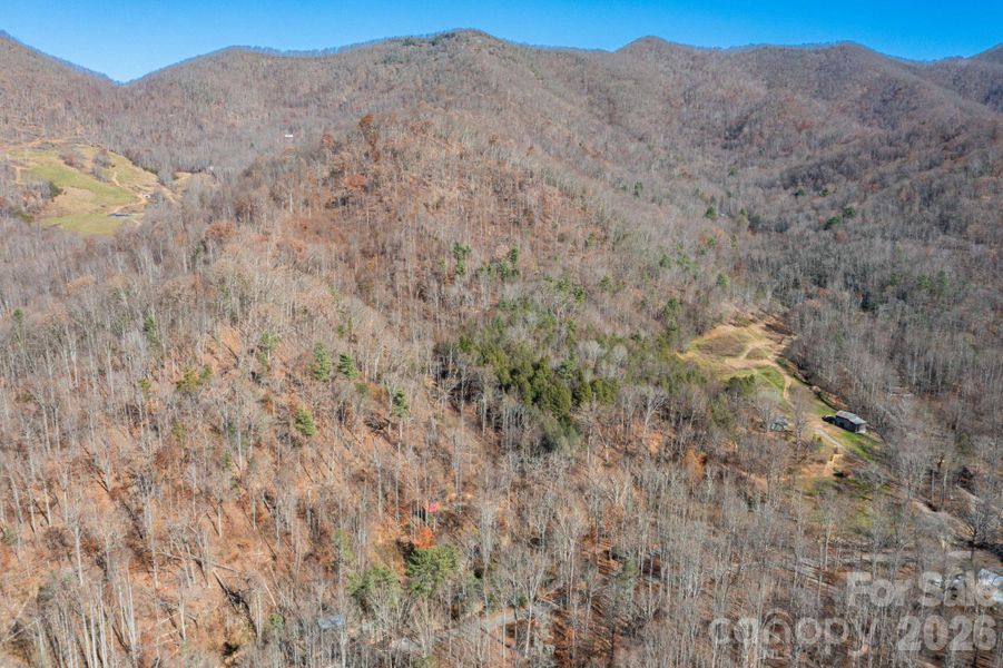 Natural landscape and outdoor views near  in Weaverville (Image 24).