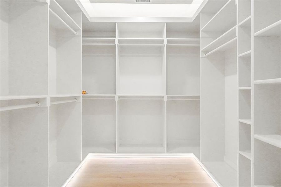 Spacious closet featuring wood finished floors