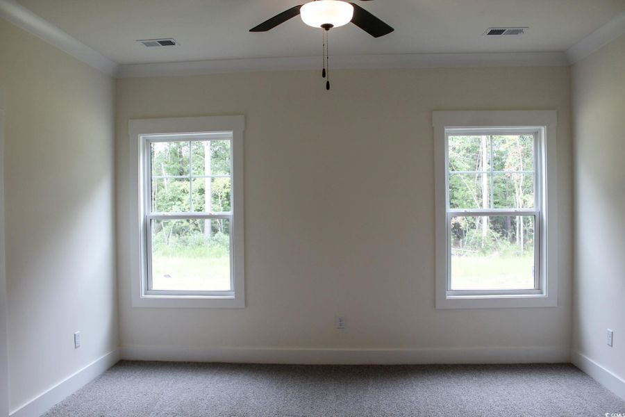 Carpeted spare room featuring plenty of natural light, ornamental molding, and a ceiling fan