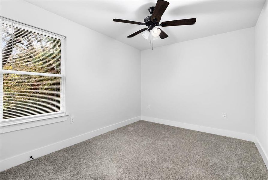 Unfurnished room featuring ceiling fan and carpet floors