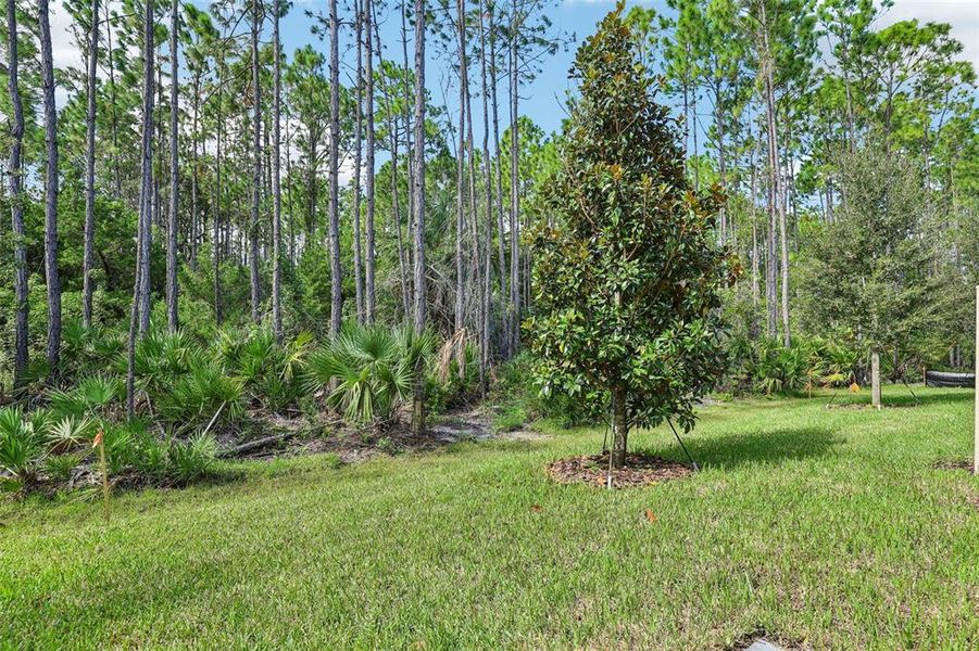 Natural landscape and outdoor views near Bradford Park in Ormond Beach (Image 32).