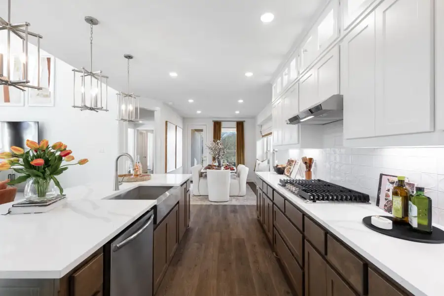 Representative Kitchen - some options shown Representative Kitchen - some options shown