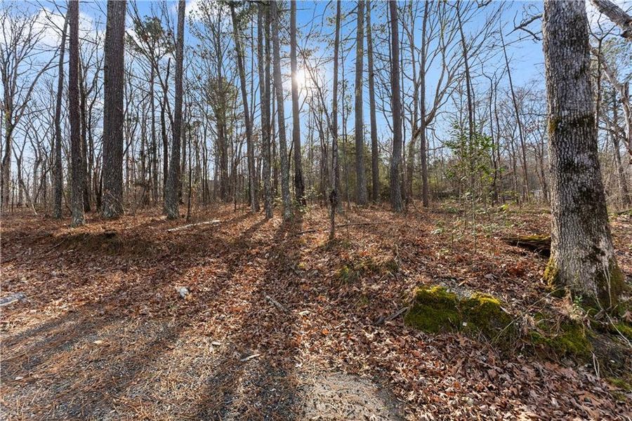Natural landscape and outdoor views near in Loganville (Image 93). Natural landscape and outdoor views near in Loganville (Image 93).