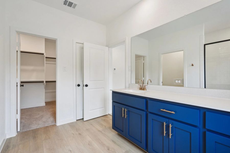 Primary Bathroom featuring the Sapphire Collection