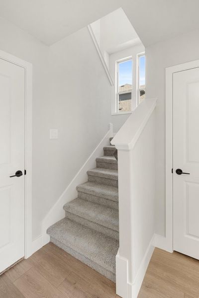 Carpeted staircase with white railing and wood floors, flanked by two white doors and a small window above