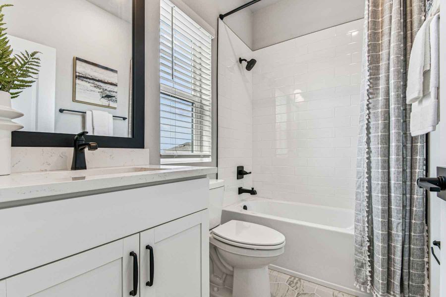 The Rainwater - Bath