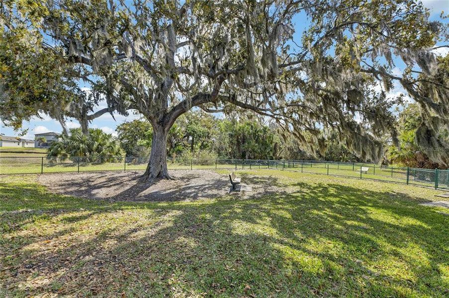 Natural landscape and outdoor views near Summerwoods in Parrish (Image 68).